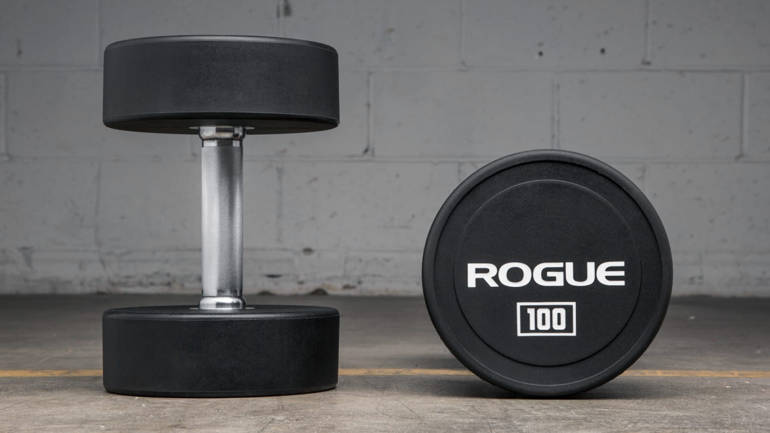 Rogue shop dumbbells set